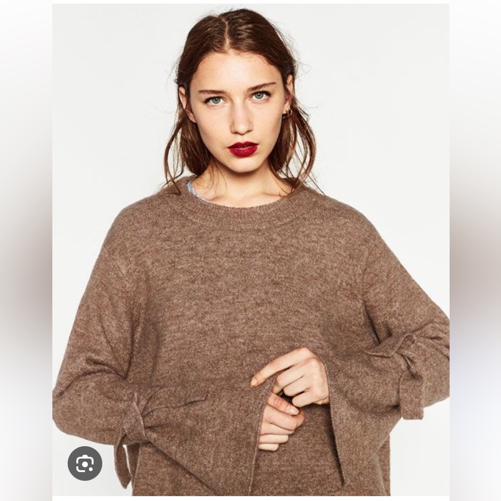 Zara Oversized Sweater w/ Tie Sleeves